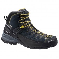 Ботинки Salewa MS ALP Trainer Mid GTX