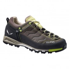Кроссовки Salewa MTN Trainer